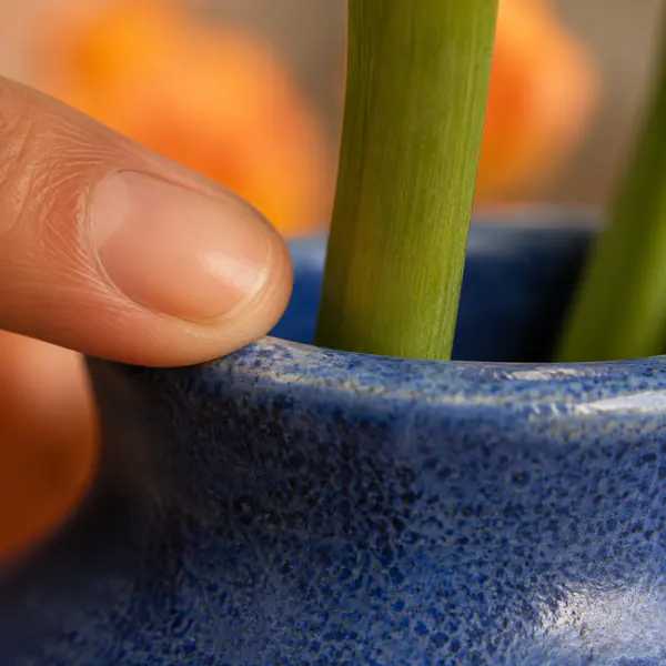 Macro Shot — Frames a tiny subject at high magnification, revealing details invisible at ordinary distance