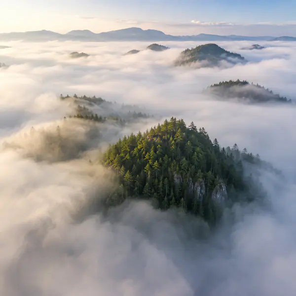 Foggy Aerial photographic style example.