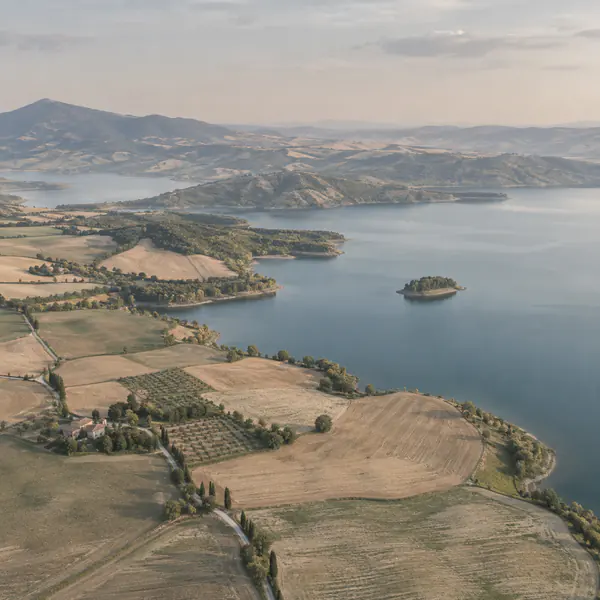 Muted Color Aerial photographic style example.