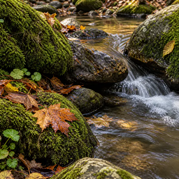 Intimate Landscape photographic style example.