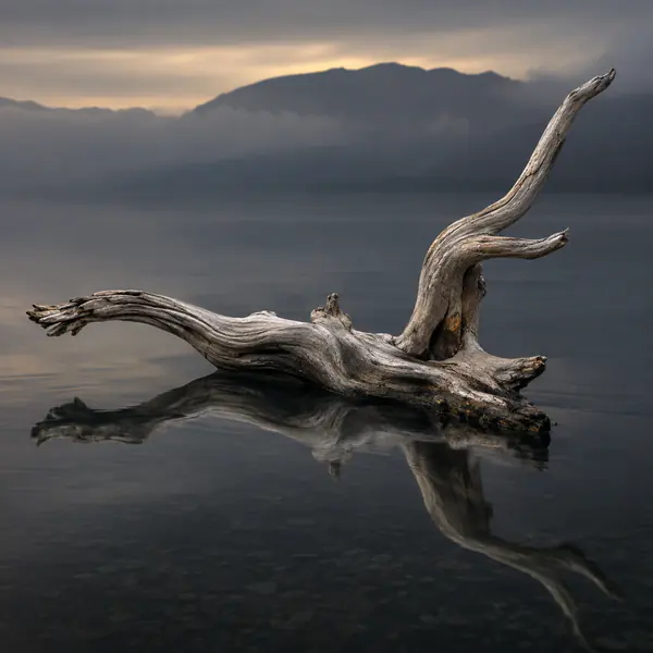 Fine Art Nature Photography photographic style example.