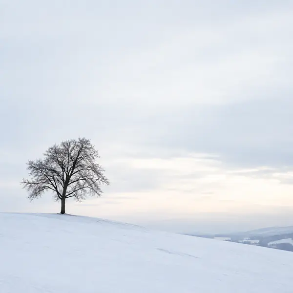 Minimalist Landscape photographic style example.