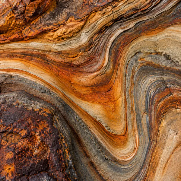 Abstract Nature Photography photographic style example.